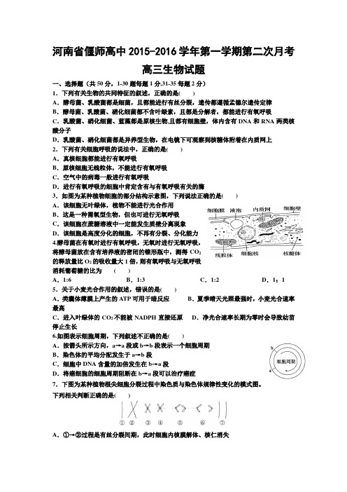 河南省偃师高级中学2016届高三上学期第二次月考生物试卷