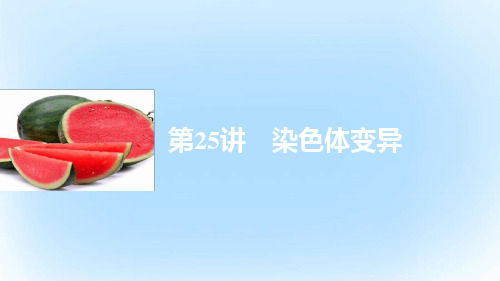 高中生物第五章基因突变及其他变异52染色体的变异课件新人教版必修2