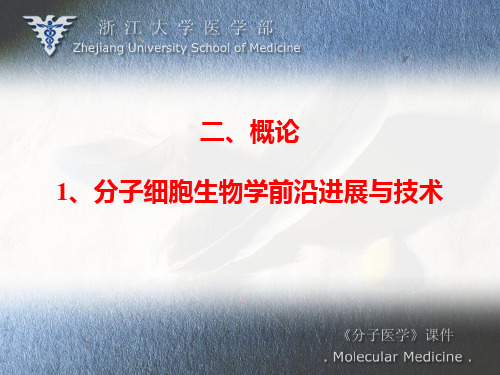 生物大分子相互作用