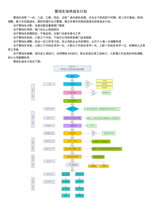 管培生成长发展之路