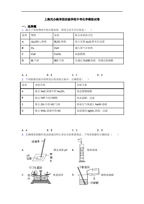 上海民办桃李园实验学校中考化学模拟试卷