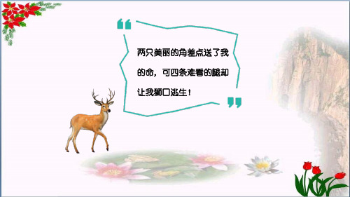 《鹿角和鹿腿》课文精析｜人教(部编版)优秀课件