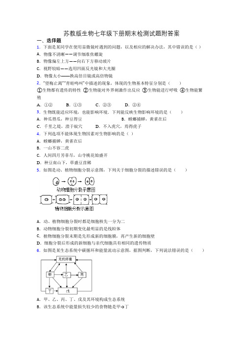 苏教版生物七年级下册期末检测试题附答案