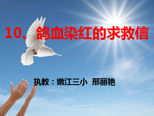 1鸽血染红的求救信
