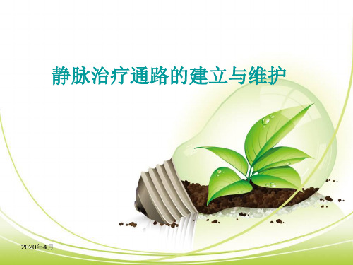 静脉治疗通路的建立与维护 ppt课件