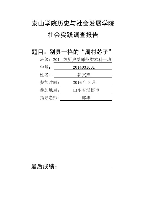 泰山学院历史与社会发展学院社会实践调查报告