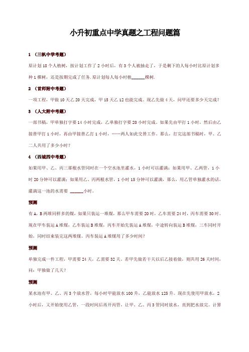 (精选)小升初数学重点中学真题训练-工程问题篇-通用版 15页