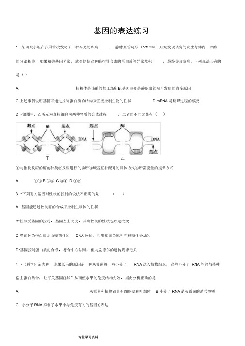 基因的表达专题练习题