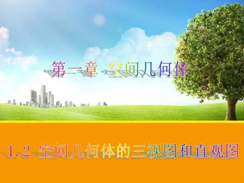 1.2  空间几何体的三视图和直观图