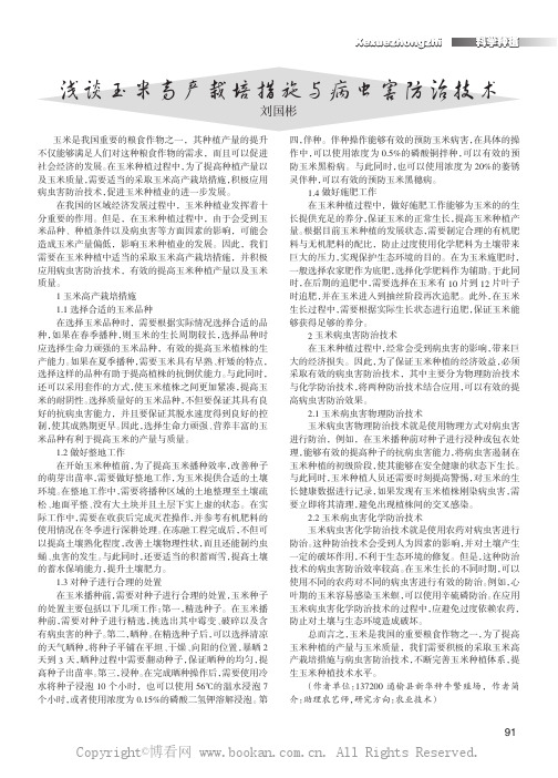 浅谈玉米高产栽培措施与病虫害防治技术