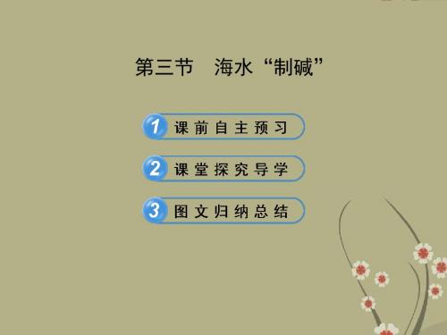 【金榜学案】-九年级化学下册 8.3 海水“制碱”课件 (新版)鲁教版