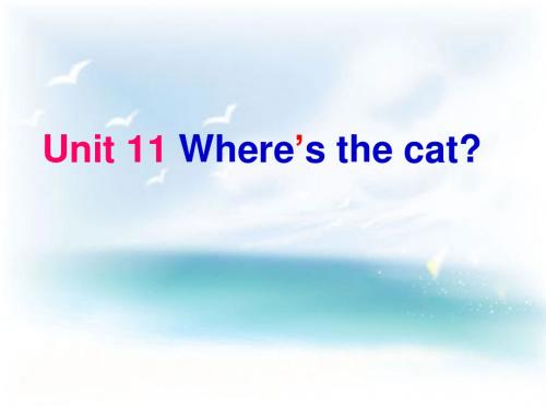 四年级上册英语课件-《Unit 11 Where’s the cat》｜湘少版(三起) (共28张PPT)