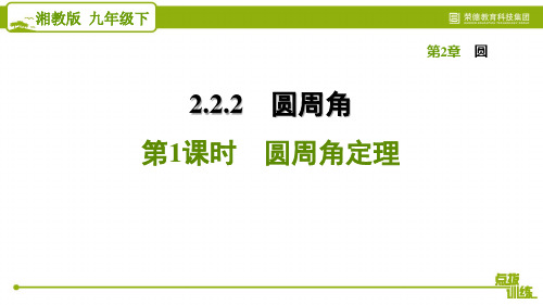 2021春湘教版九年级数学下册 第2章 2.2.2.1 圆周角定理