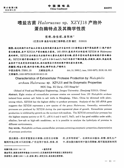 嗜盐古菌Halorussus sp.XZYJ18产胞外蛋白酶特点及其酶学性质