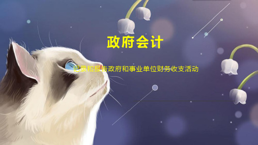 政府会计    