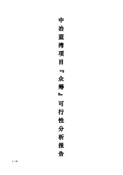 众筹执行可行性分析报告