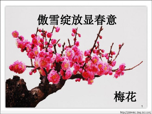 遍地黄金(1)
