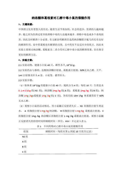 探索性实验