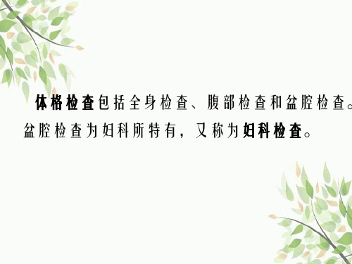 妇科产科体格检查