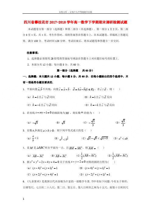 四川省攀枝花市20172018学年高一数学下学期期末调研检测试题