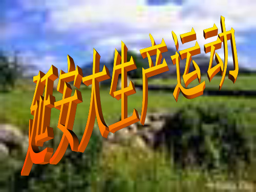 《延安大生产运动》ppt课件