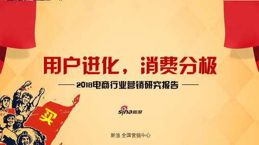 2018电商行业营销研究报告-新浪-2019.5-80页 (1)