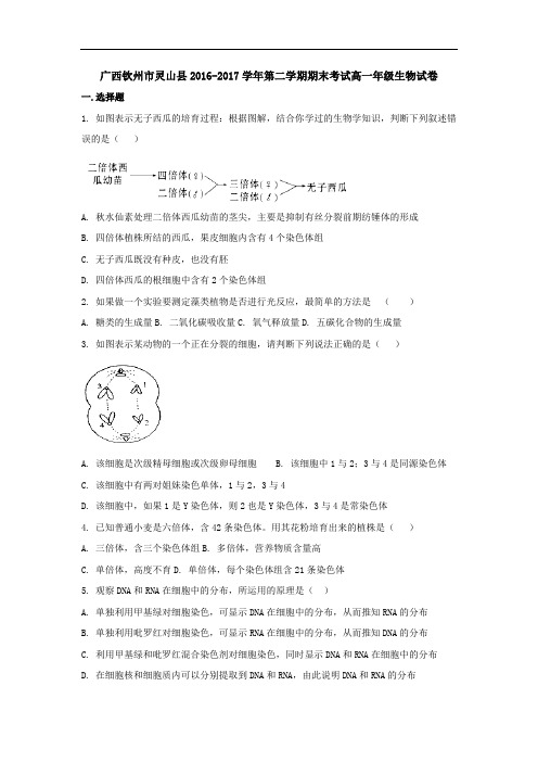 广西钦州市灵山县2016-2017学年高一下学期期末考试生