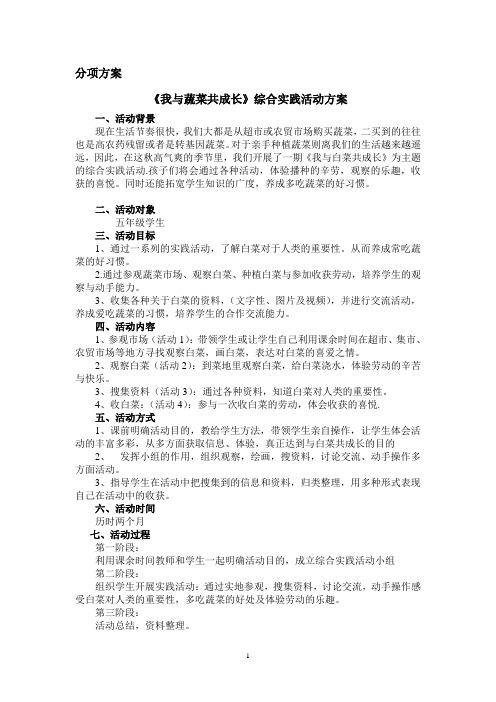 《我与蔬菜共成长》综合实践活动设计