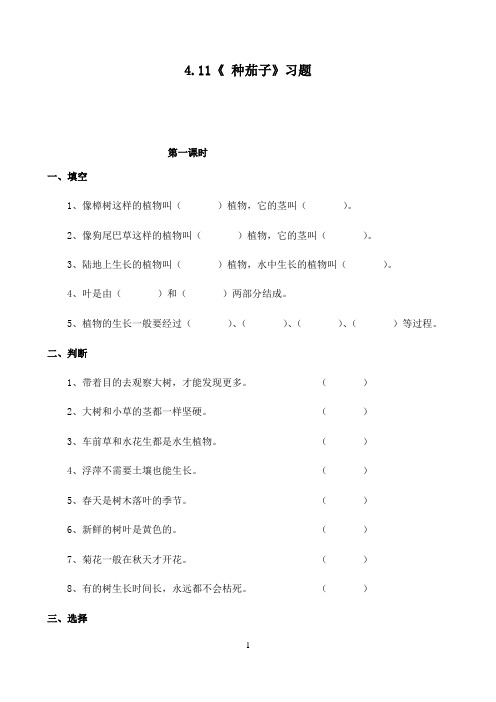 四年级科学下册试题 一课一练4.11《 种茄子》习题-冀人版（无答案）