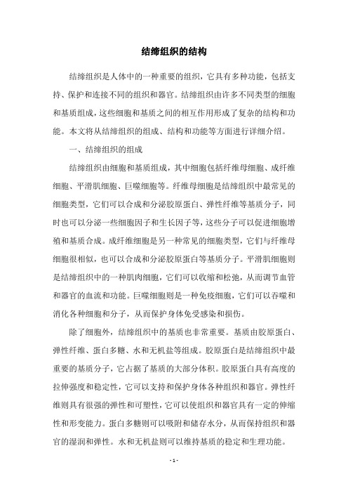 结缔组织的结构