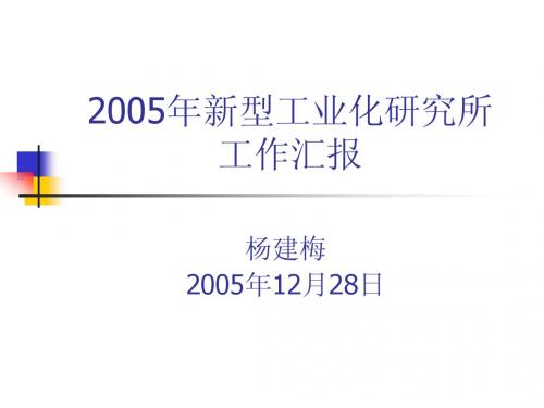 2005 年新型工业化研究所工作汇报