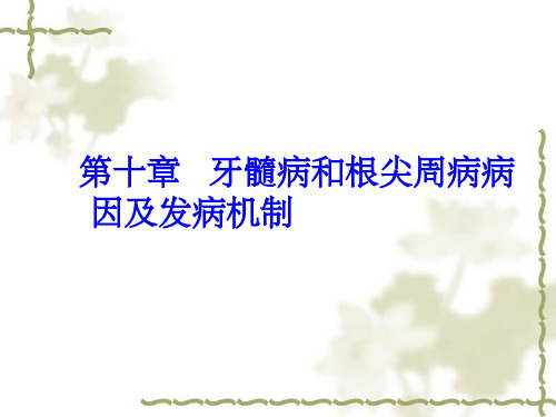 牙髓病和根尖周病病因及发病机制_温医《牙体牙髓病学》