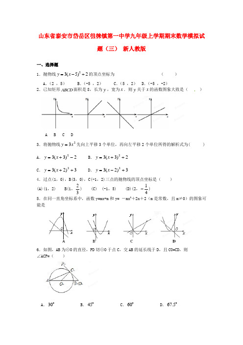 山东省泰安市岱岳区徂徕镇第一中学九年级数学上学期期末模拟试题(三) 新人教版