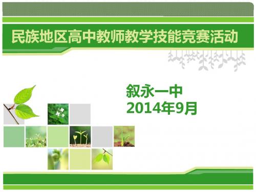 人民版必修一外交关系的突破说课PPT