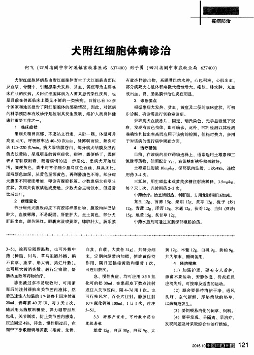 犬附红细胞体病诊治
