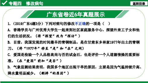 2021年广东省中考语文复习：修改病句