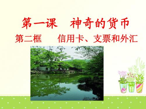 (新)人教版高中政治必修一1.2《信用卡、支票和外汇》精美课件(共30张PPT)