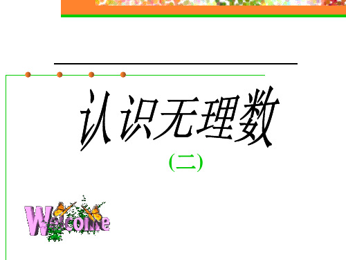北师大版八年级上册 2.1《认识无理数二》课件1(共20张PPT)
