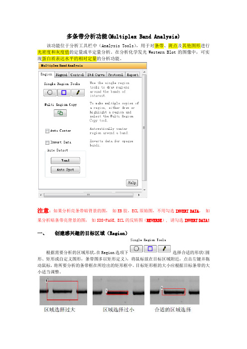 DRAFT-alphaview-分析及图像处理