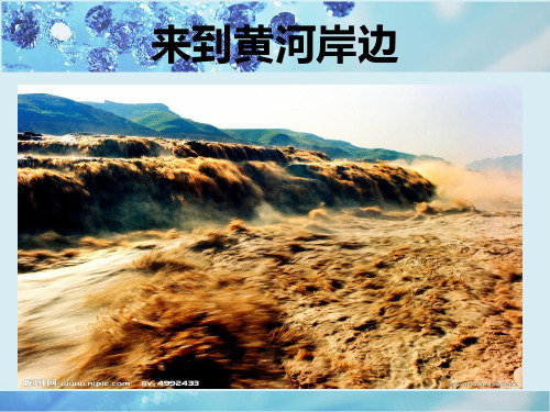 来到黄河岸边PPT