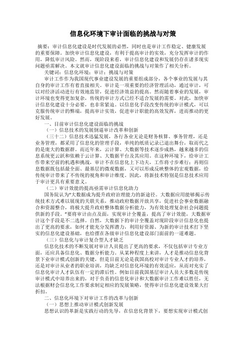 信息化环境下审计面临的挑战与对策