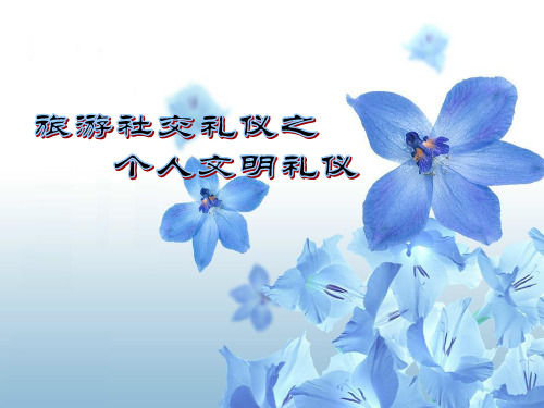 旅游社交礼仪PPT课件