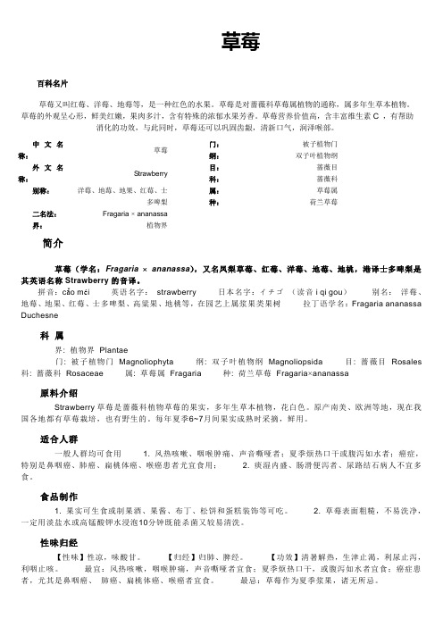 草莓