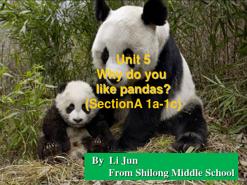 Unit 5 Why do you like pandas_课件