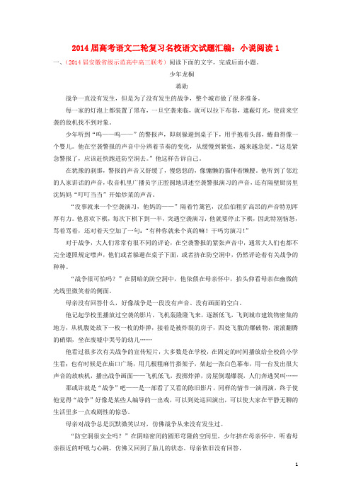 高考语文二轮复习 试题汇编 小说阅读1