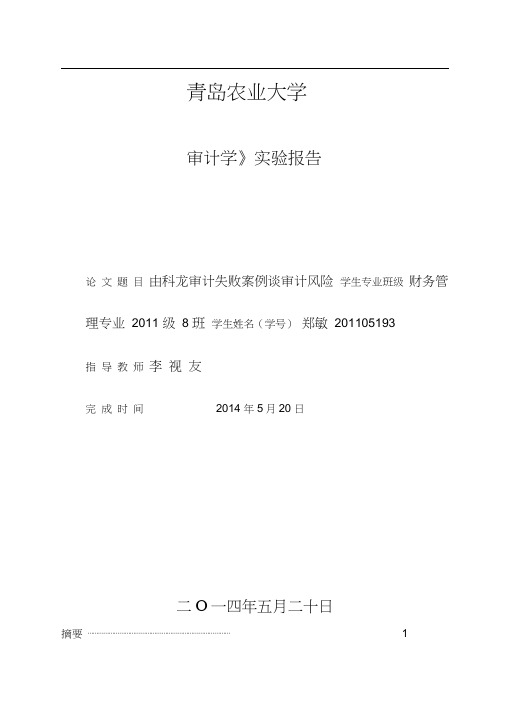 由科龙审计失败案例谈审计风险