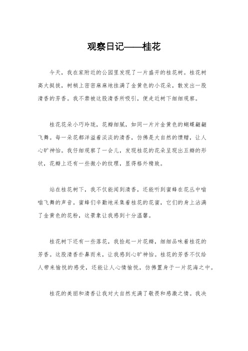 观察日记——桂花