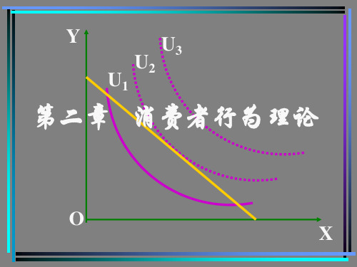 第二章消费者行为分析