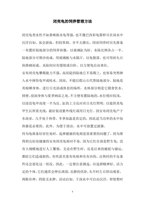 闭壳龟的饲养管理方法