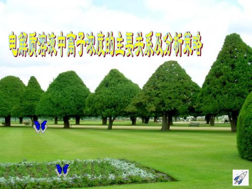 溶液中离子浓度的主要关系及分析策略